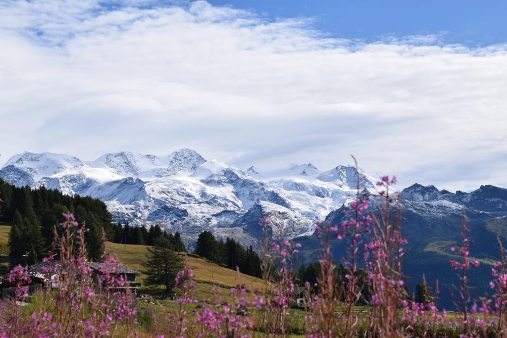 Le Rocher Hotel Champoluc Exterior photo